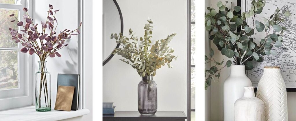 Arranjos feitos com folhas de eucalipto para decoração da casa. Vaso com planta ornamental. decoração, decoração com plantas secas