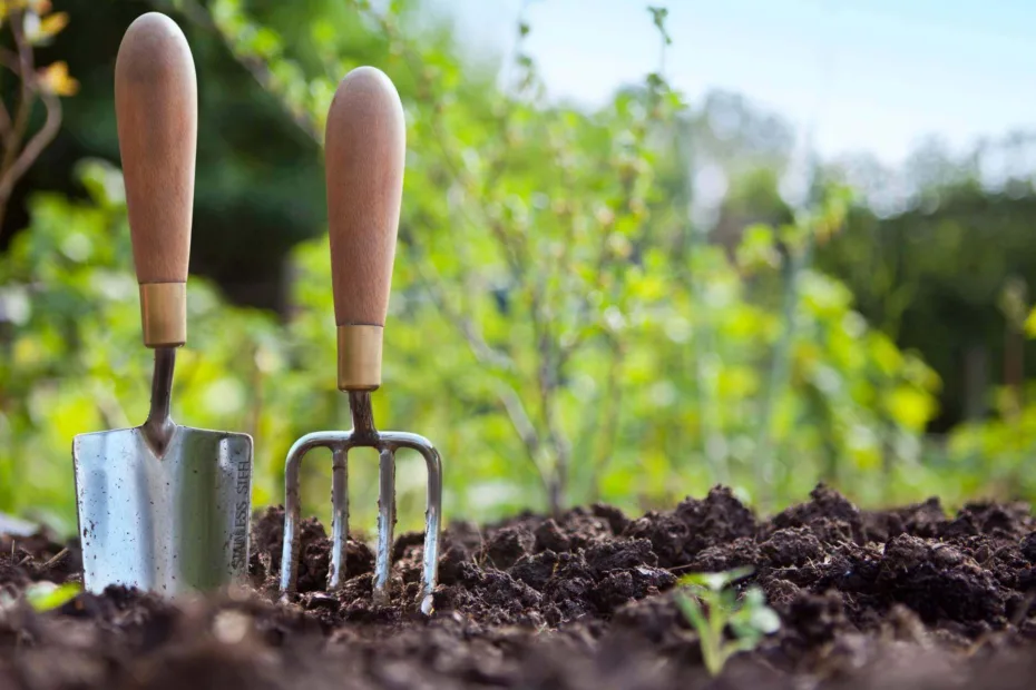 imagem de ferramentas de jardim